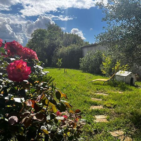 Gite De L'Olivier Nyons Exterior foto